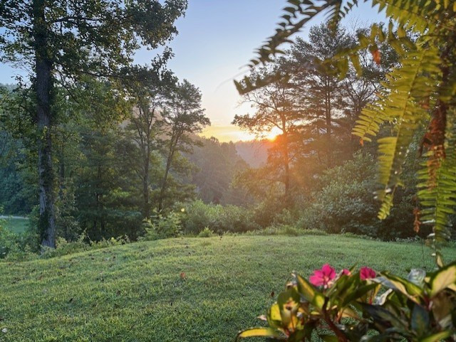 1364 Atoah Road Robbinsville, NC 28771 - Photo 64 of 71