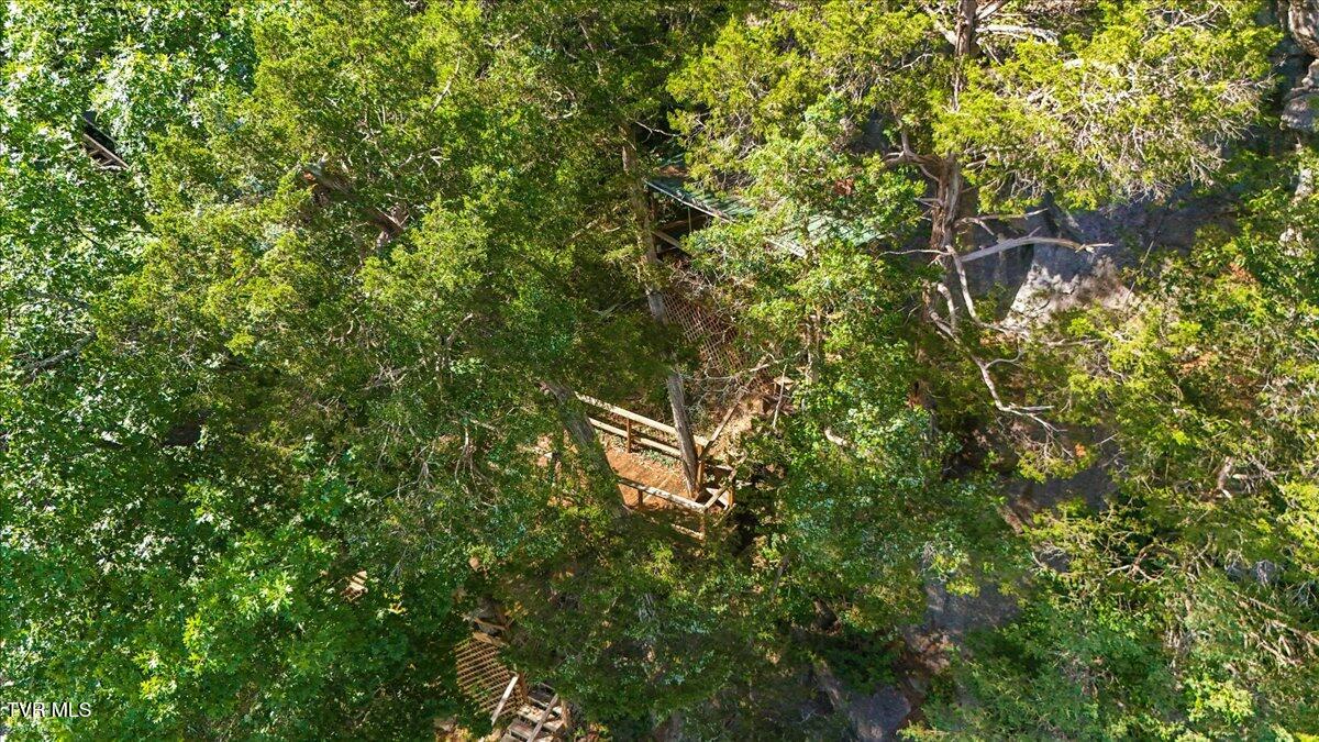 651 Rangewood Road Piney Flats, TN 37686 - Photo 104 of 184 060-007-DJI_20250726171709_0725_D