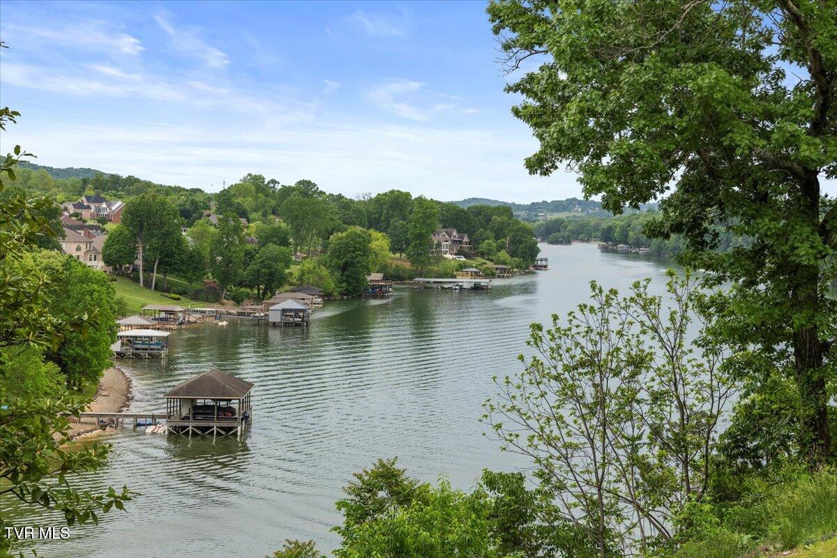 651 Rangewood Road Piney Flats, TN 37686 - Photo 107 of 184 066-022-128A7837