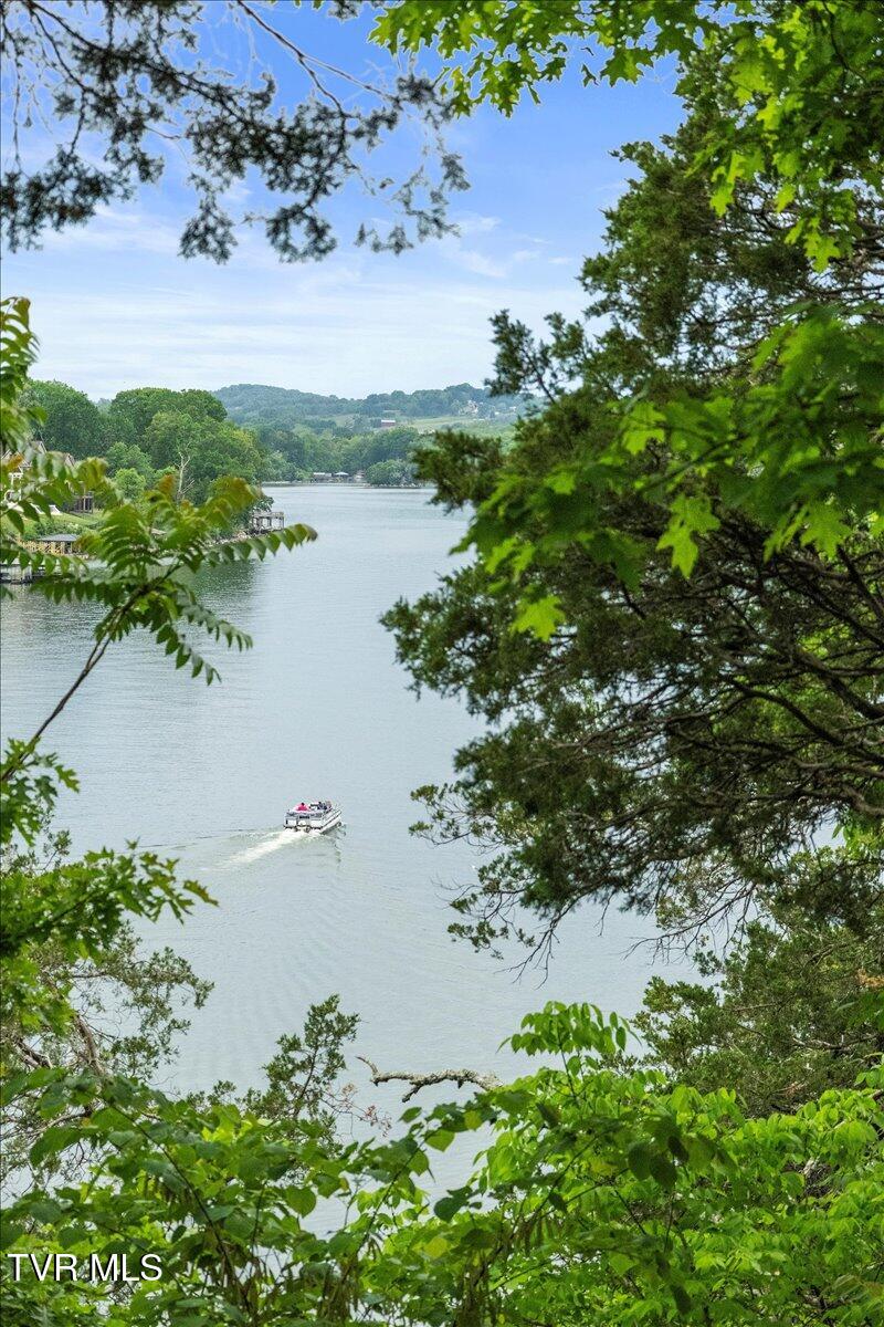 651 Rangewood Road Piney Flats, TN 37686 - Photo 116 of 184 072-028-128A7867