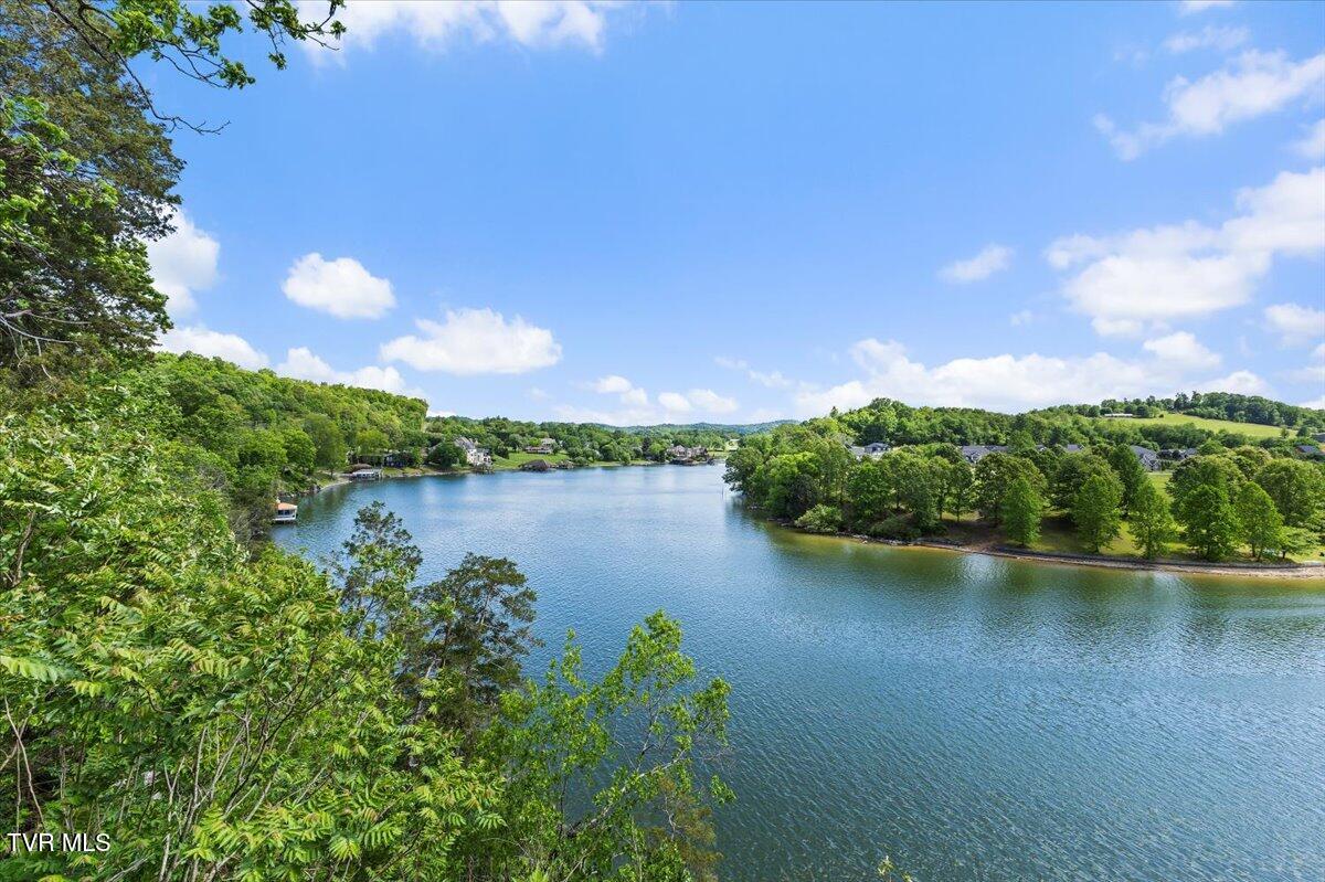 651 Rangewood Road Piney Flats, TN 37686 - Photo 128 of 184 125-110-128A8469