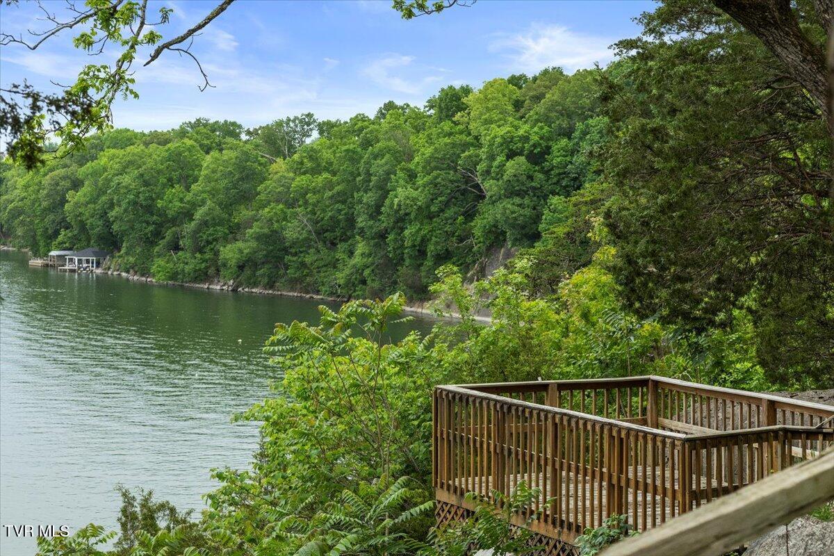 651 Rangewood Road Piney Flats, TN 37686 - Photo 136 of 184 132-117-128A7839