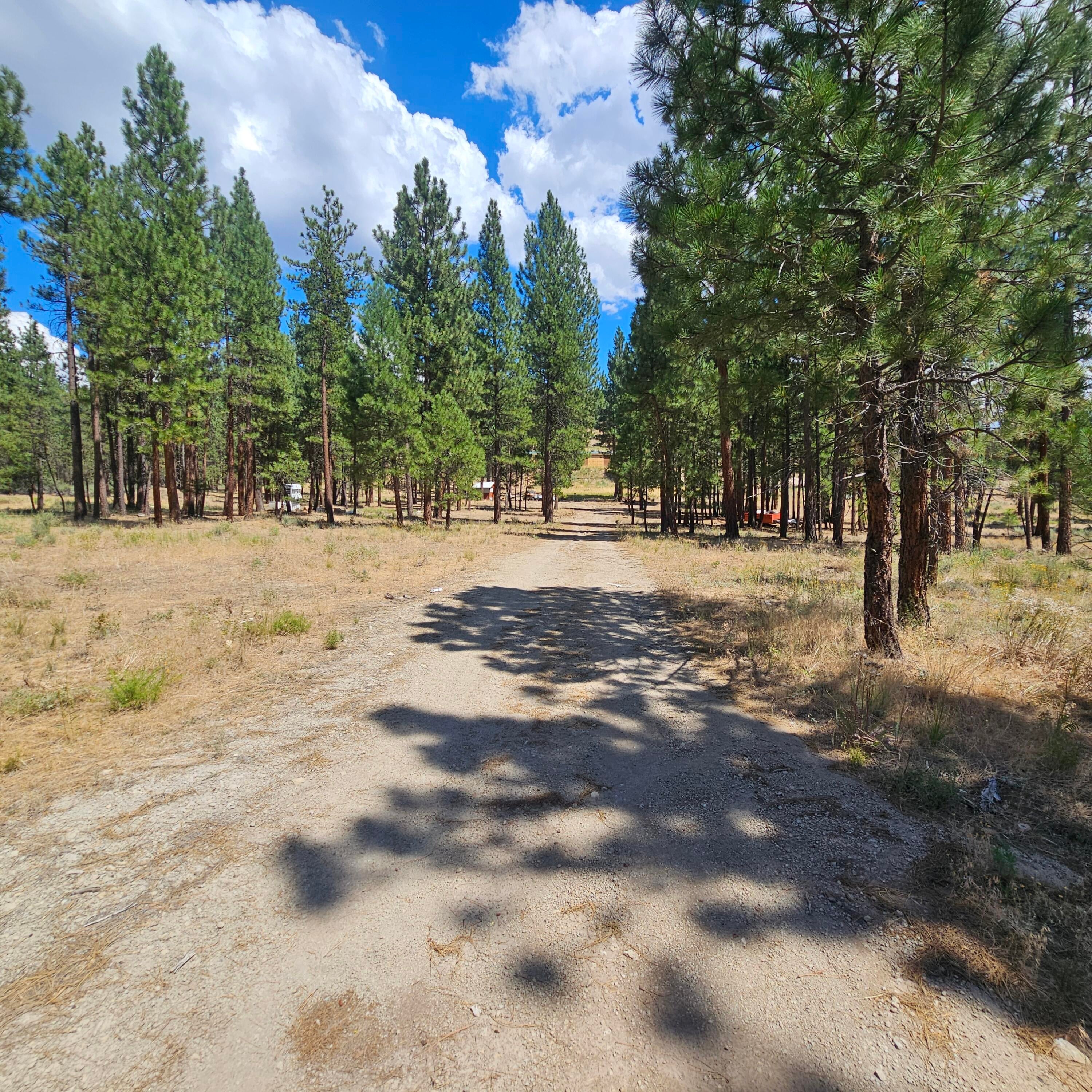 33005 Godowa Springs Road Beatty, OR 97621 - Photo 34 of 36 20250728_141406