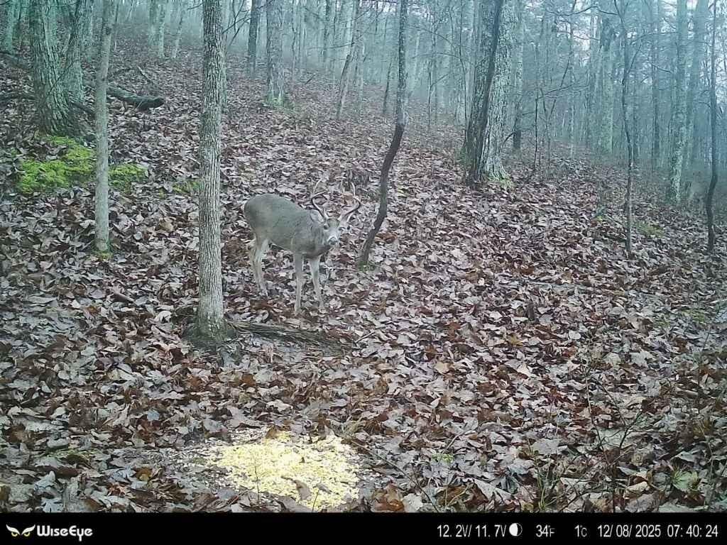 316 Armuchee Trail Northeast Rome, GA 30165 - Photo 45 of 45