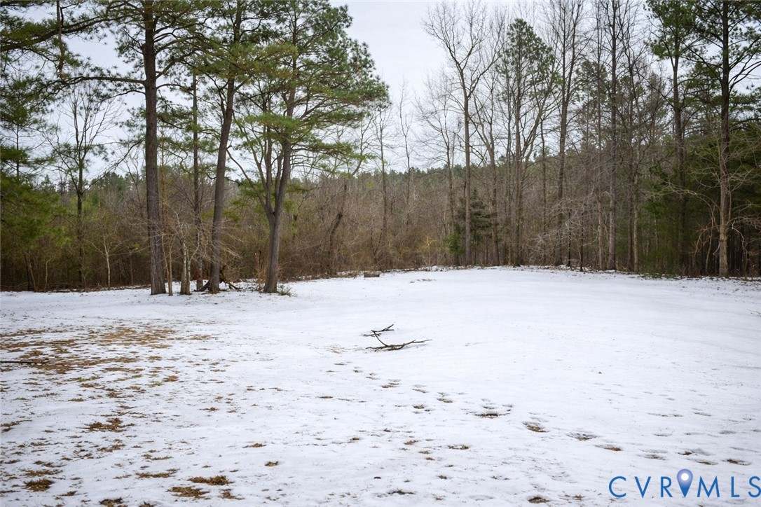 5521 Richmond Road Amelia Court House, VA 23002 - Photo 25 of 28 BackYard a forest view