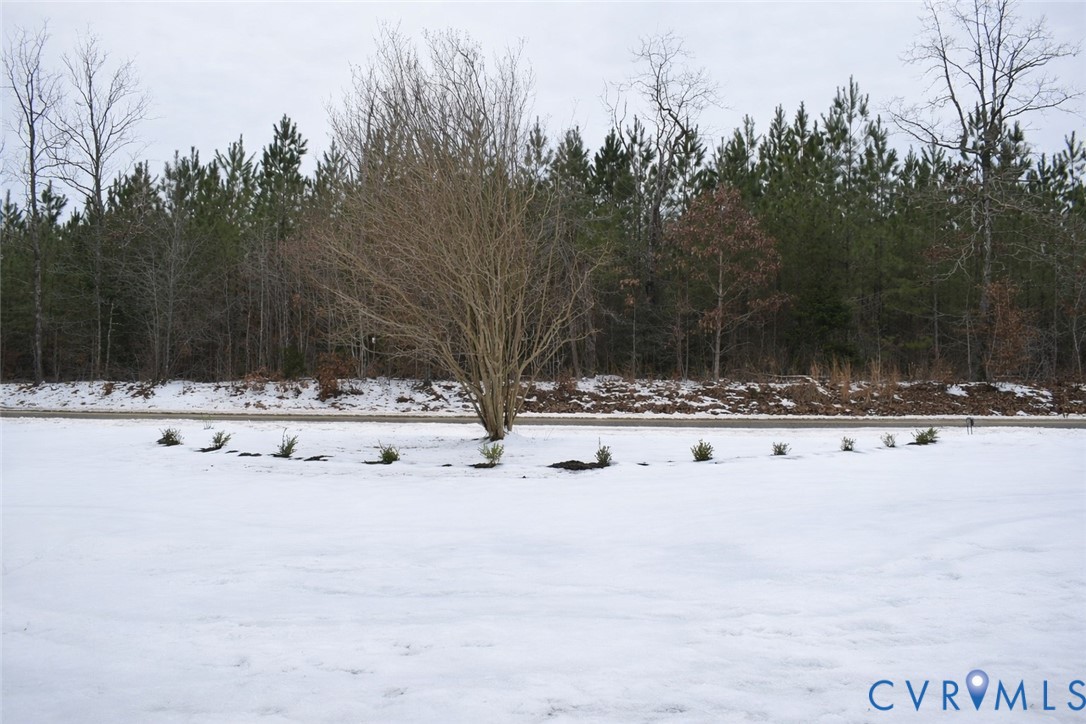 5521 Richmond Road Amelia Court House, VA 23002 - Photo 28 of 28 Front yard layered