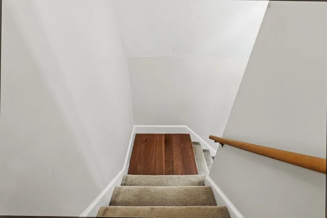 a view of a backyard with a small tree