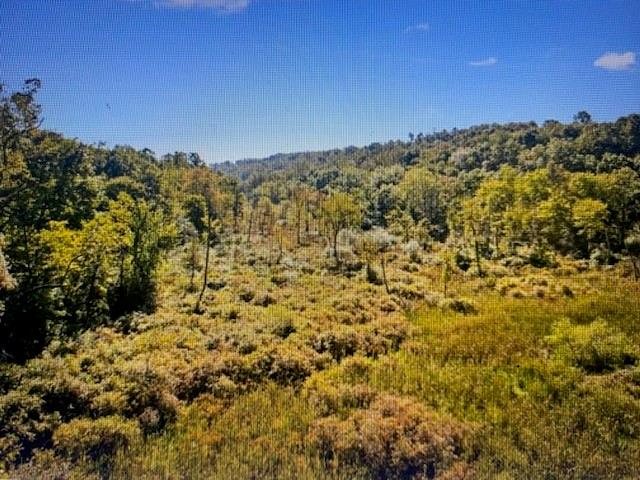 0 Fry Hollow Road Hunker, PA 15639 - Photo 1 of 10 Gallery Image 1