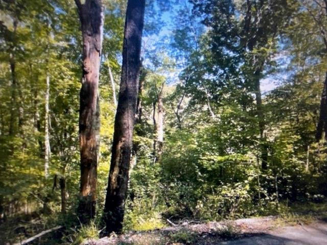 0 Fry Hollow Road Hunker, PA 15639 - Photo 3 of 10 Gallery Image 3