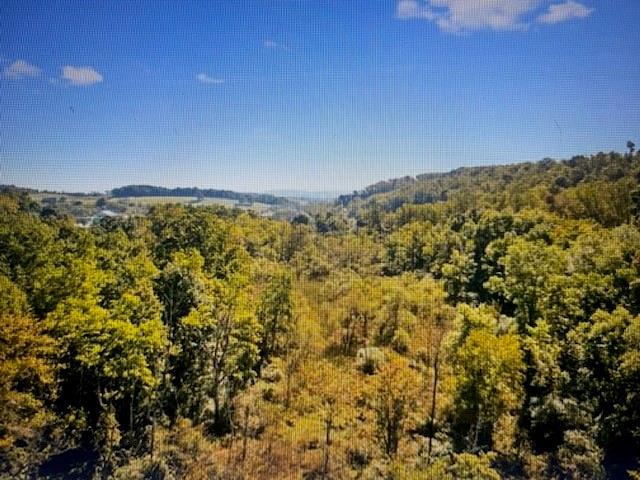 0 Fry Hollow Road Hunker, PA 15639 - Photo 7 of 10 Gallery Image 7