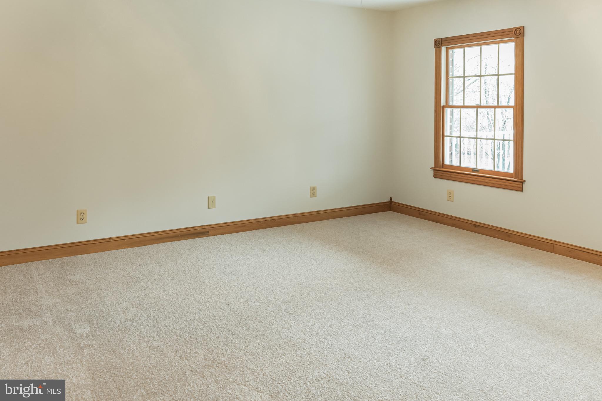 10551 Wicomico Ridge Road Charlotte Hall, MD 20622 - Photo 46 of 61 Gallery Image 46