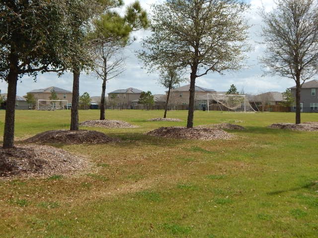 2095 Mule Ridge Drive Katy, TX 77493 - Photo 8 of 9 a view of outdoor space with deck and trees