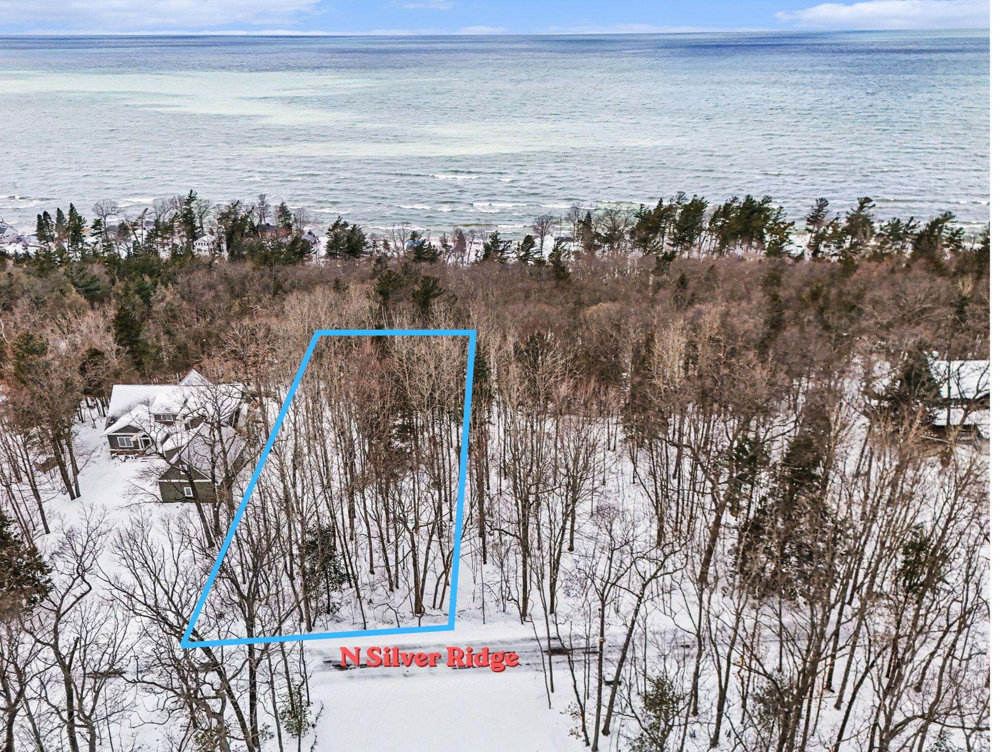 Lot 11 North Silver Ridge Road Mears, MI 49436 - Photo 2 of 25 N Silver Ridge