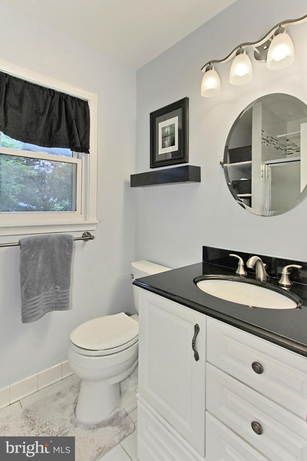 2309 Ballycairne Court Reston, VA 20191 - Photo 18 of 29 Updated Master Bathroom with Designer Tile