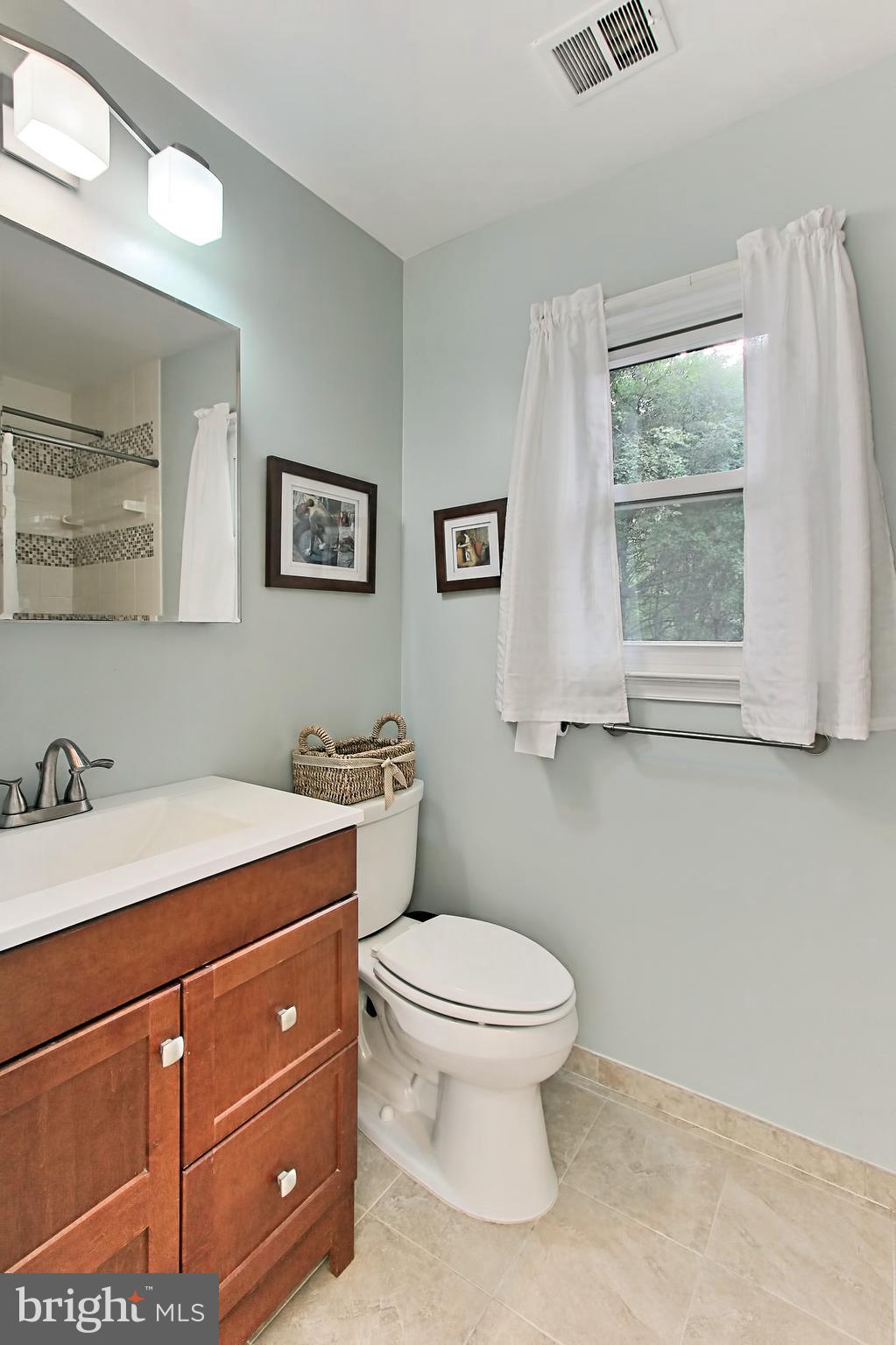 2309 Ballycairne Court Reston, VA 20191 - Photo 21 of 29 Updated Upper Hall Bathroom