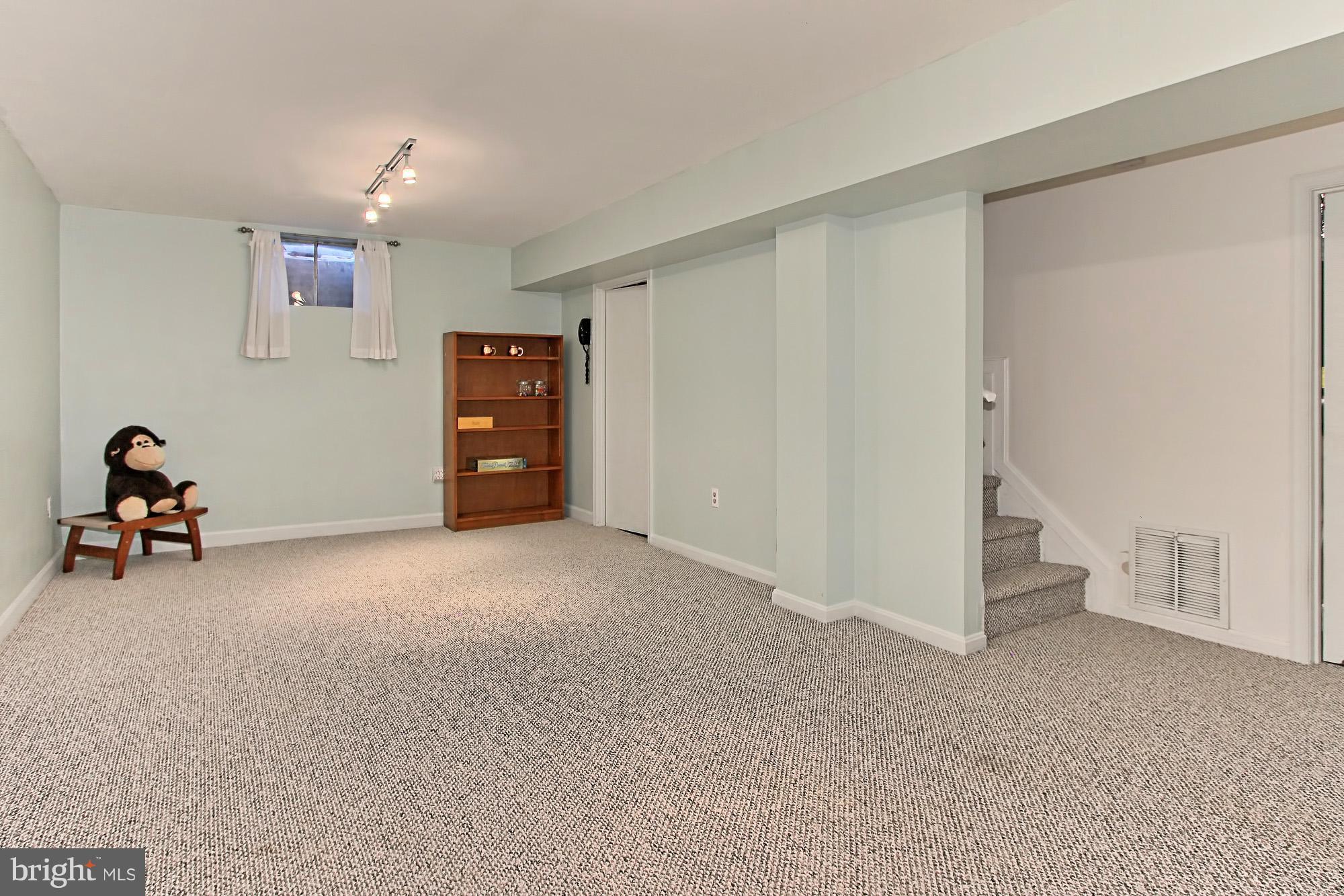 2309 Ballycairne Court Reston, VA 20191 - Photo 23 of 29 Lower Level Features Track Lighting