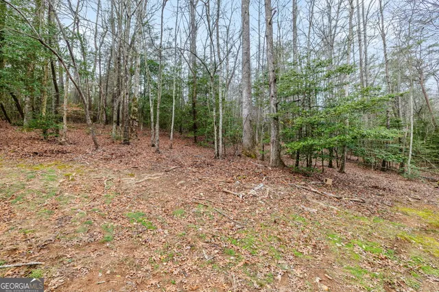 a view of small yard