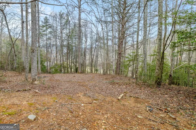 a bird view of house