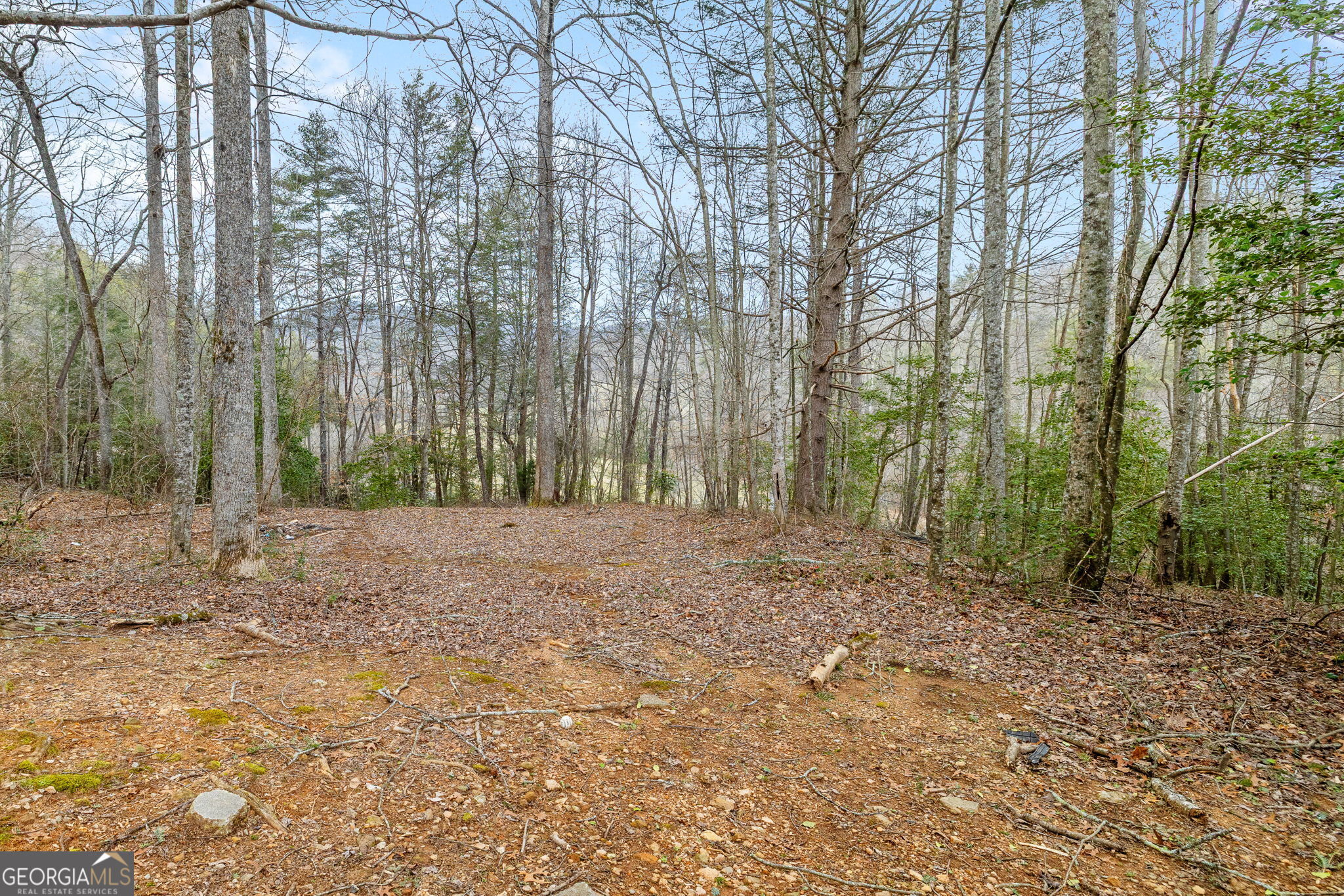 89 Ts Jarrard Road Dahlonega, GA 30533 - Photo 28 of 48 a view of outdoor space and tree
