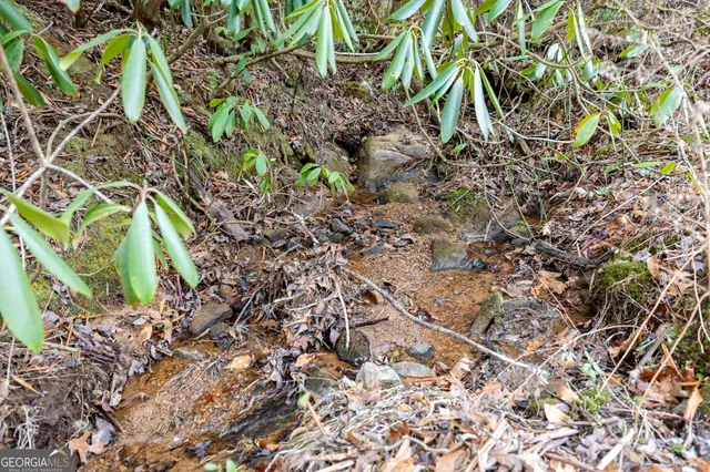 a view of wooden floor