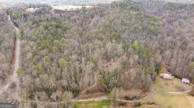 a view of a dry yard with green space and mountain view