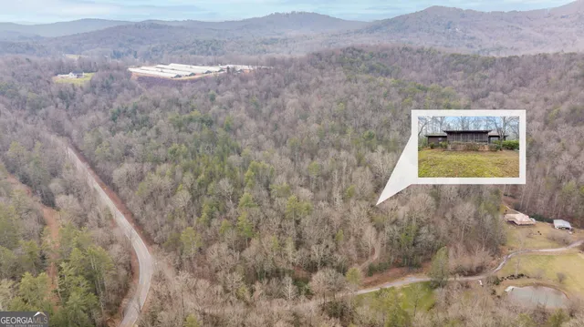 a view of a dry yard