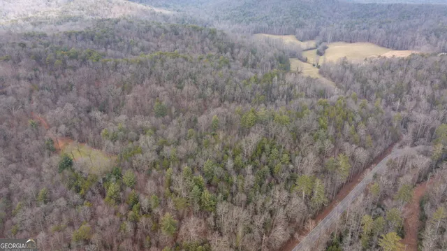 a view of a mountain in the distance in a field