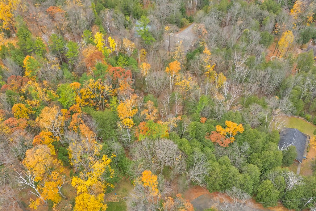 Tbd Maple Ridge Road Egg Harbor, WI 54209 - Photo 8 of 16 Gallery Image 8