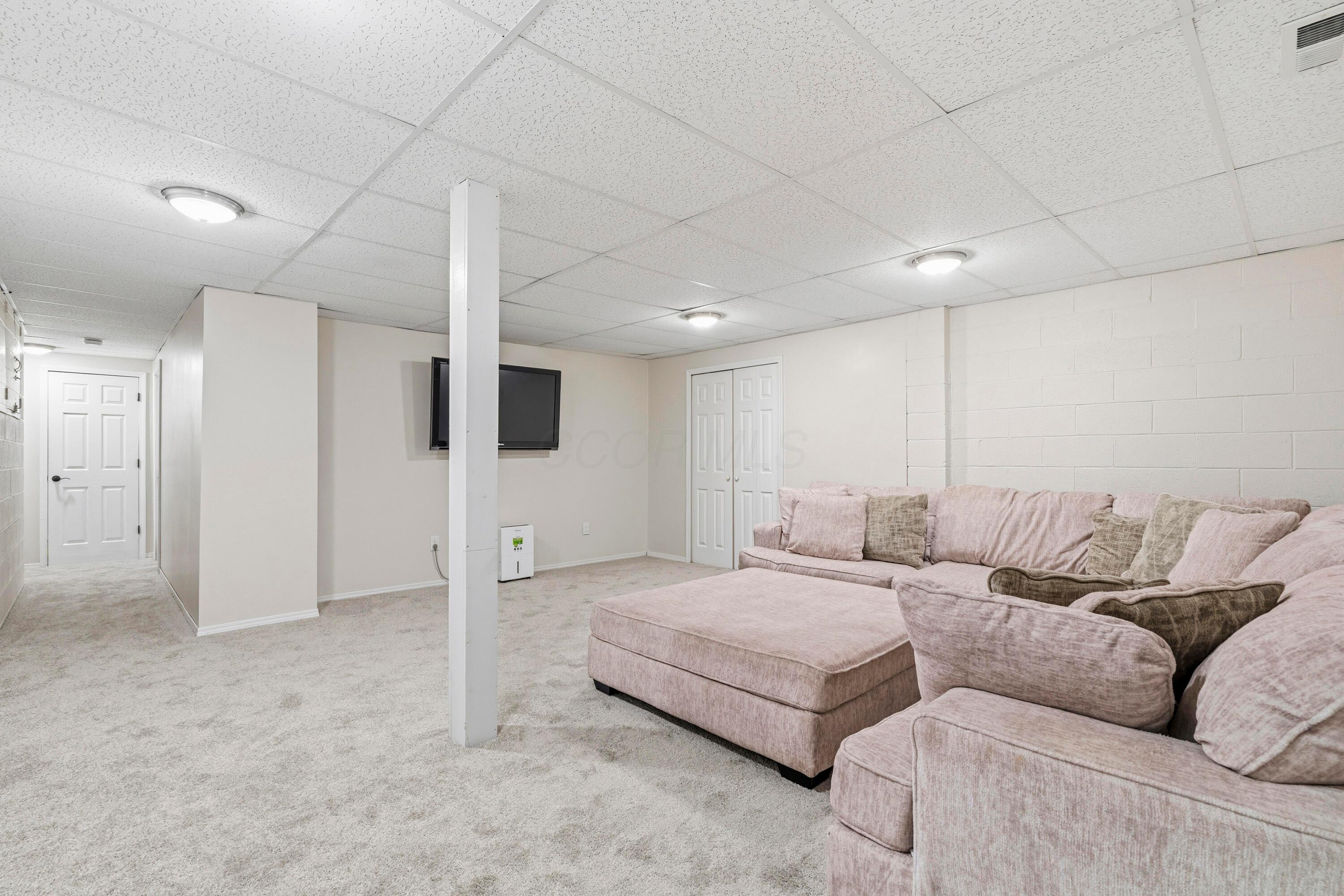 8507 Benner Road Johnstown, OH 43031 - Photo 44 of 69 NEW Carpet in Finished Lower Level, perfect for a play room, media room & more! Storage closet for game/toy storage! Couch and TV remain at no cost!