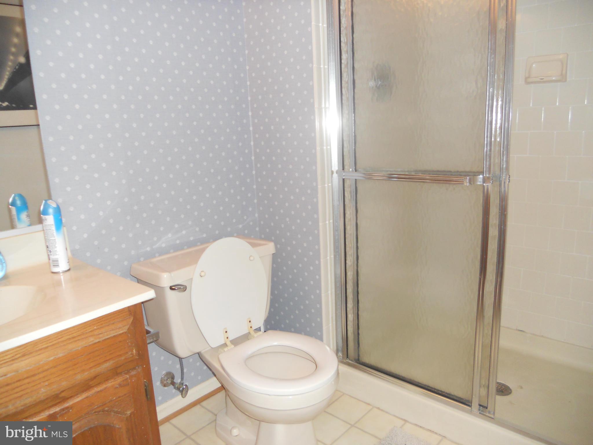 4731 Columbia Road Ellicott City, MD 21042 - Photo 27 of 29 Full Bath In Basement