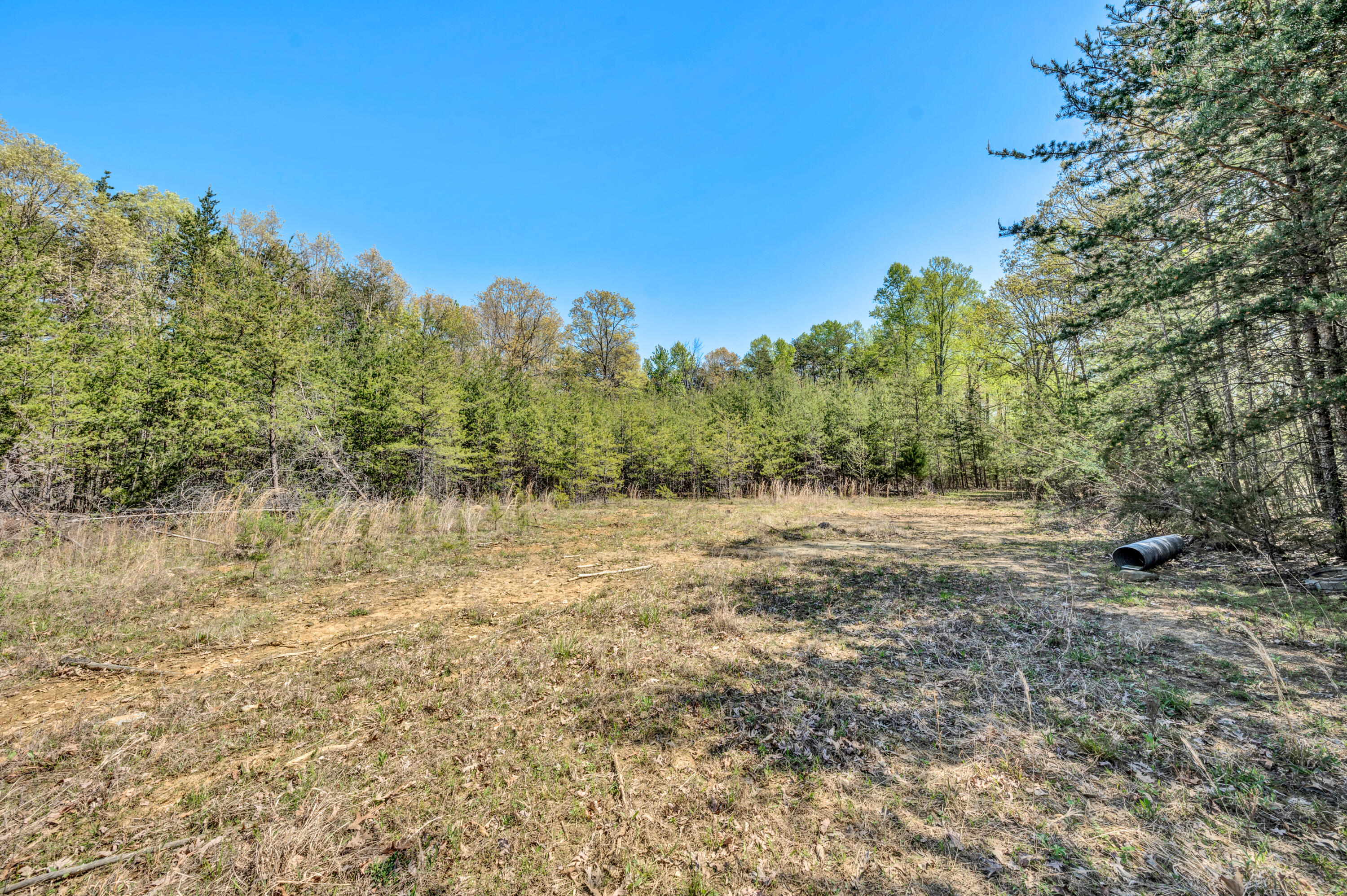 5779 Scruggs Road Moneta, VA 24121 - Photo 18 of 27 15-041520240014