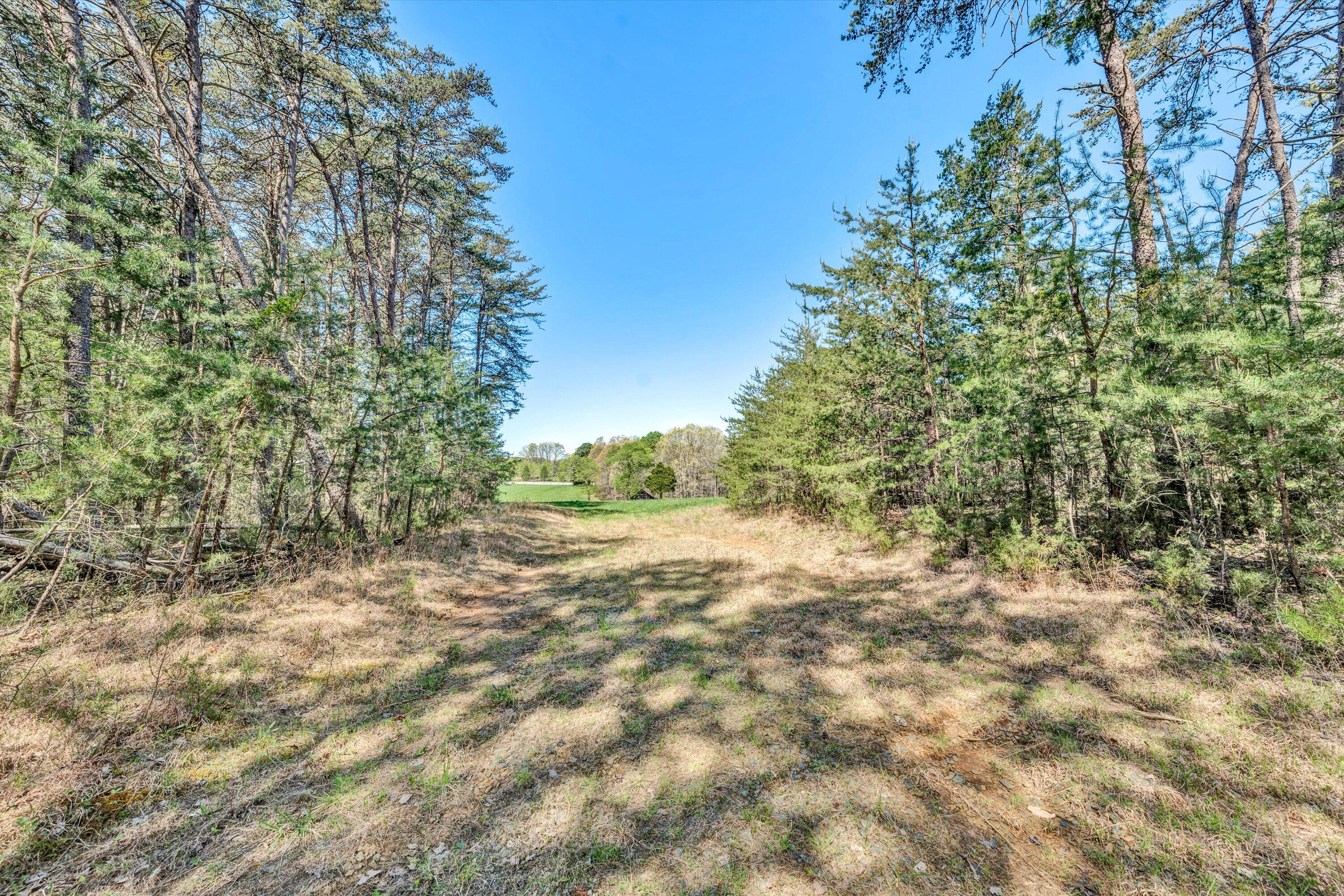 5779 Scruggs Road Moneta, VA 24121 - Photo 19 of 27 13-041520240012