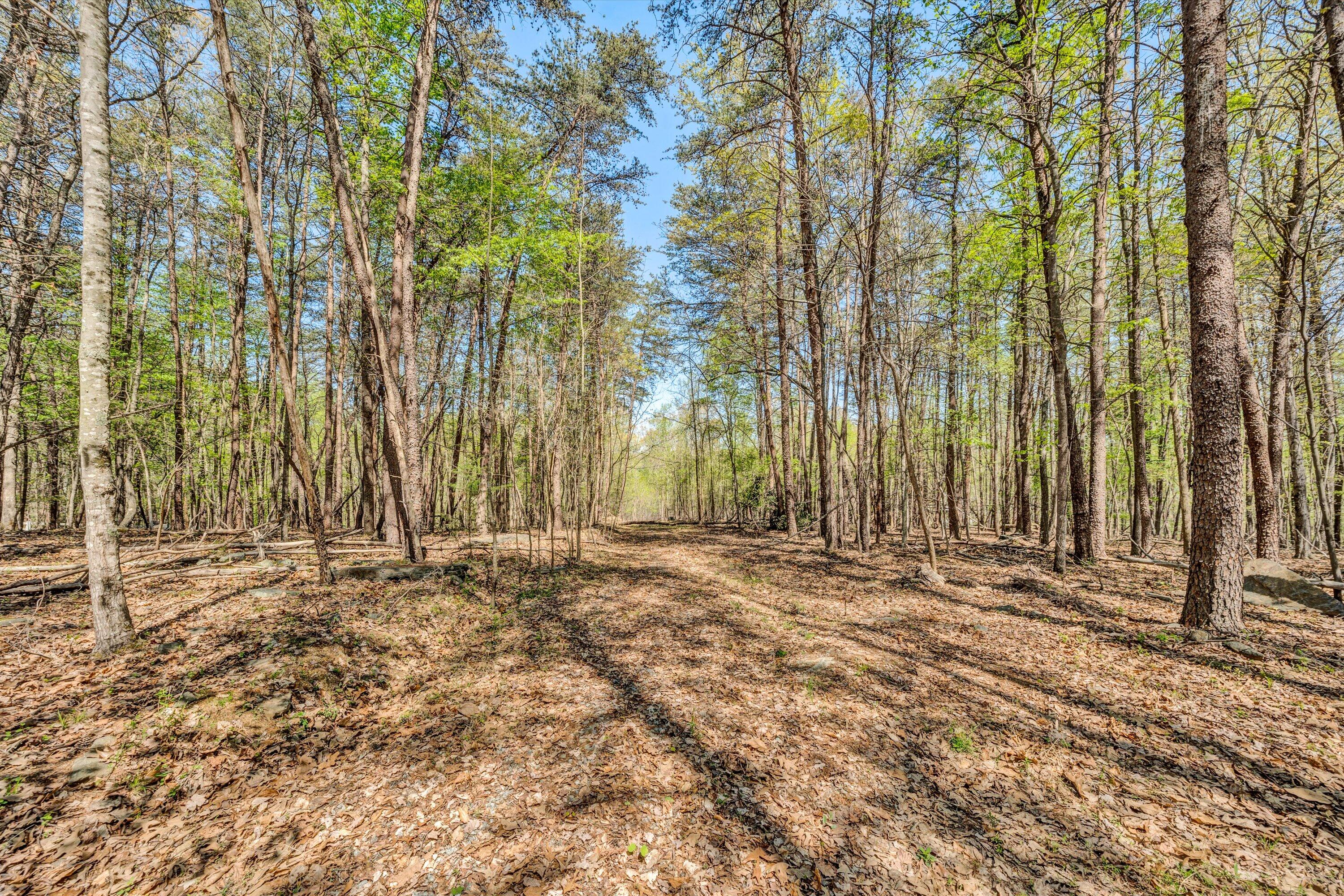 5779 Scruggs Road Moneta, VA 24121 - Photo 20 of 27 16-041520240023