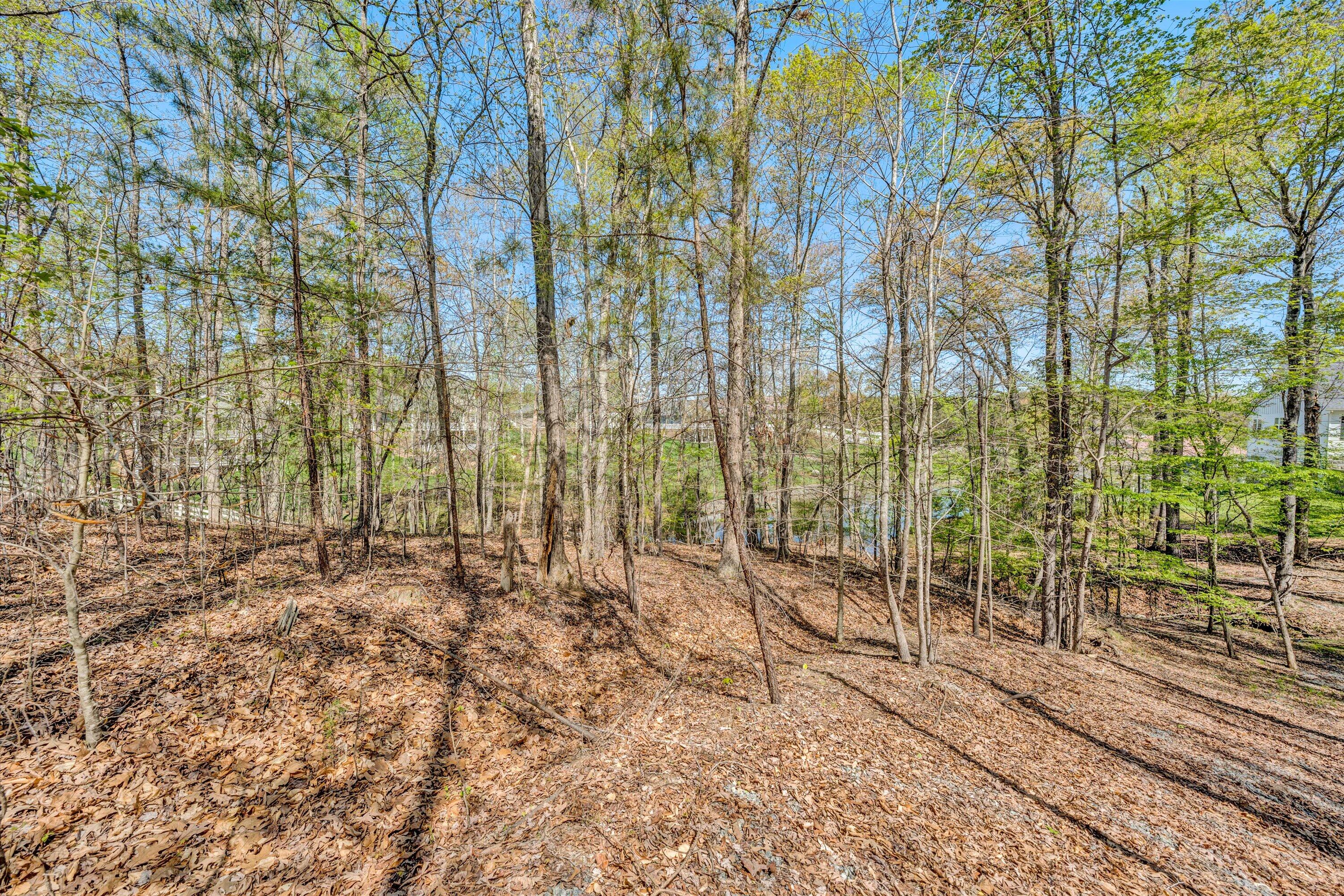 5779 Scruggs Road Moneta, VA 24121 - Photo 21 of 27 17-041520240024