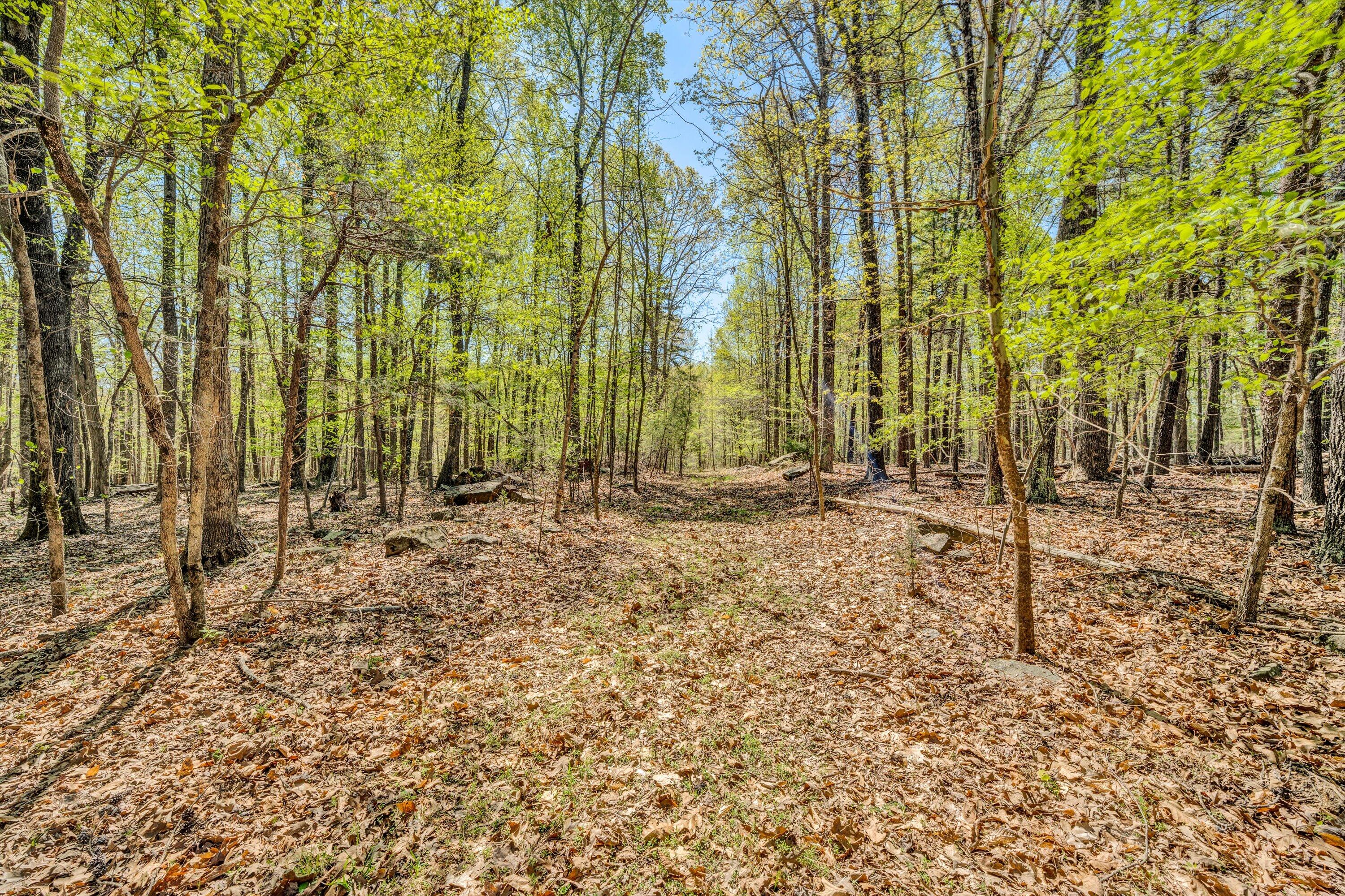5779 Scruggs Road Moneta, VA 24121 - Photo 22 of 27 18-041520240025