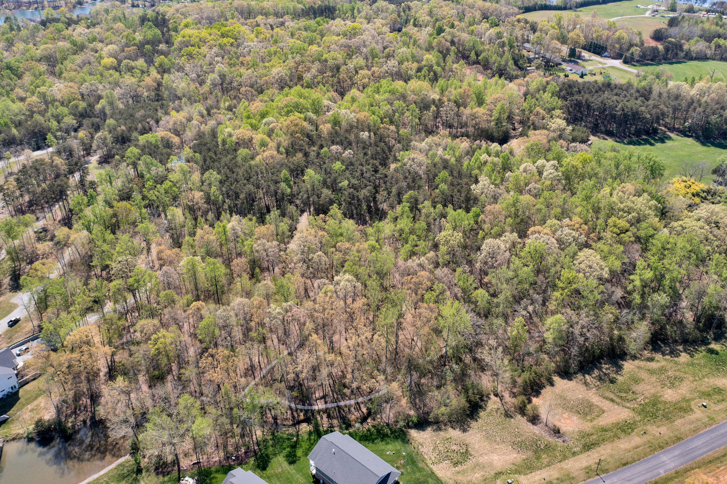 5779 Scruggs Road Moneta, VA 24121 - Photo 9 of 27 06-041520240022