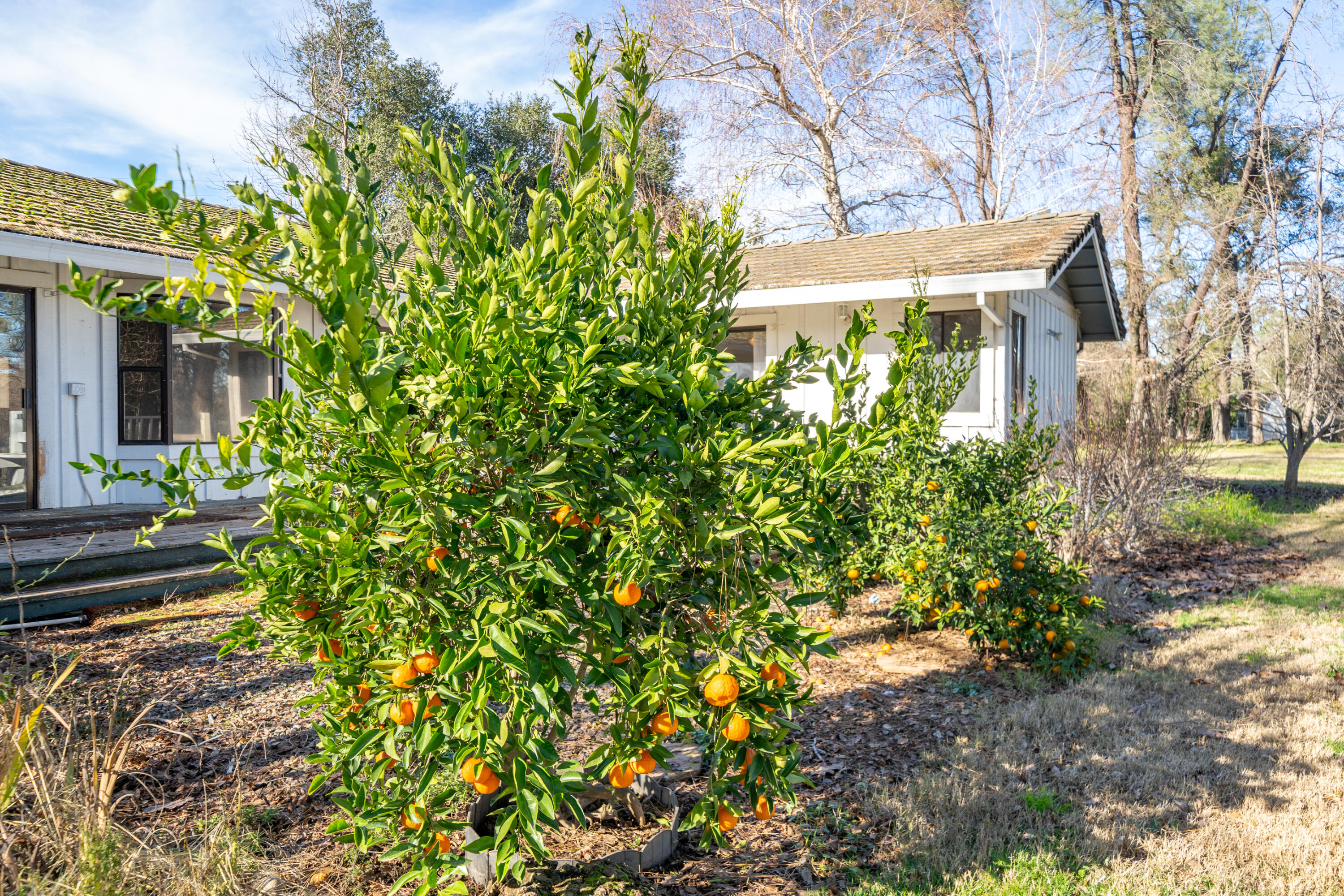 8293 Deschutes Road Palo Cedro, CA 96073 - Photo 72 of 88 8293 Deschutes Rd-68