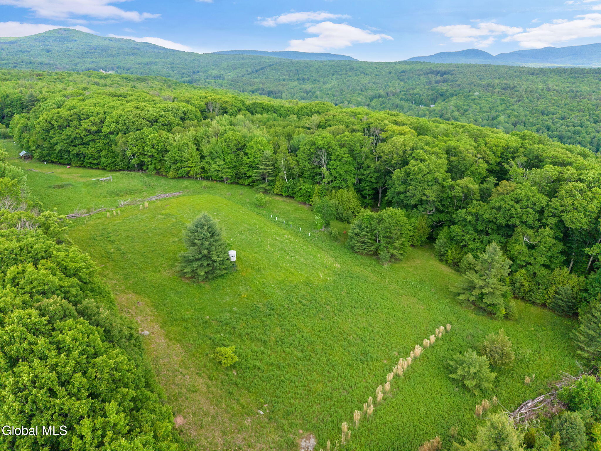 368 Brand Road Gilboa, NY 12076 - Photo 58 of 76 68-368BrandRd_30 (2)