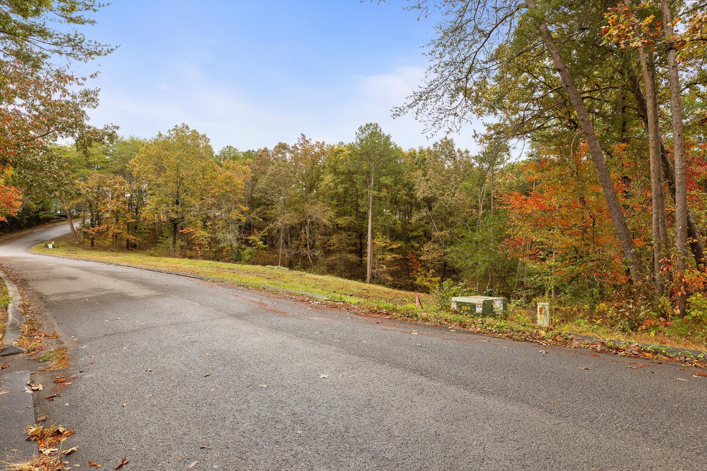 0 Countryside Drive Dunlap, TN 37327 - Photo 2 of 34 01-Countryside-1
