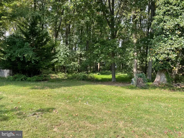 a view of outdoor space with deck and yard