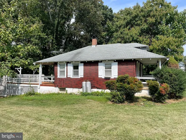 a view of a tree in a yard