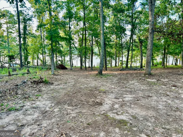 a lake view with a lake view