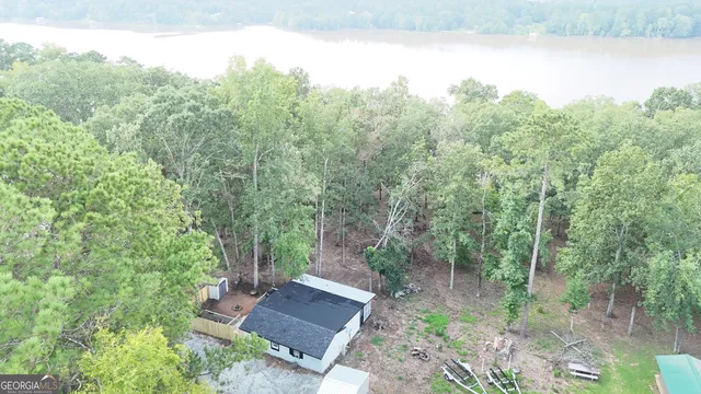 a view of a forest with trees in front of it