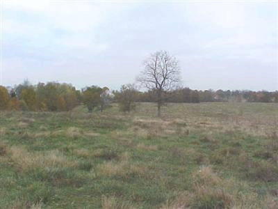 3405 Waterworks Road Winchester, KY 40391 - Photo 11 of 11 View of the back of the 10 acres. The f