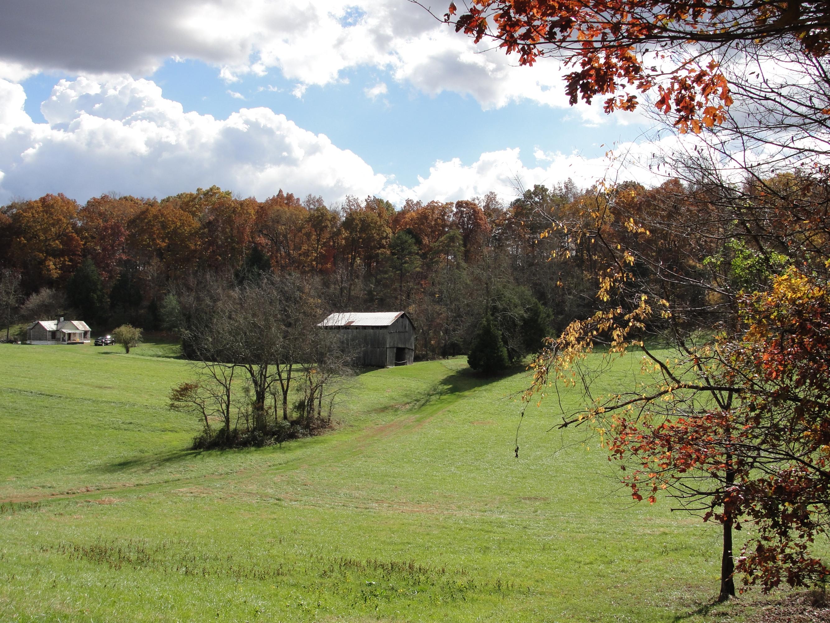 160 Lost Creek Road Sharps Chapel, TN 37866 - Photo 2 of 14 009