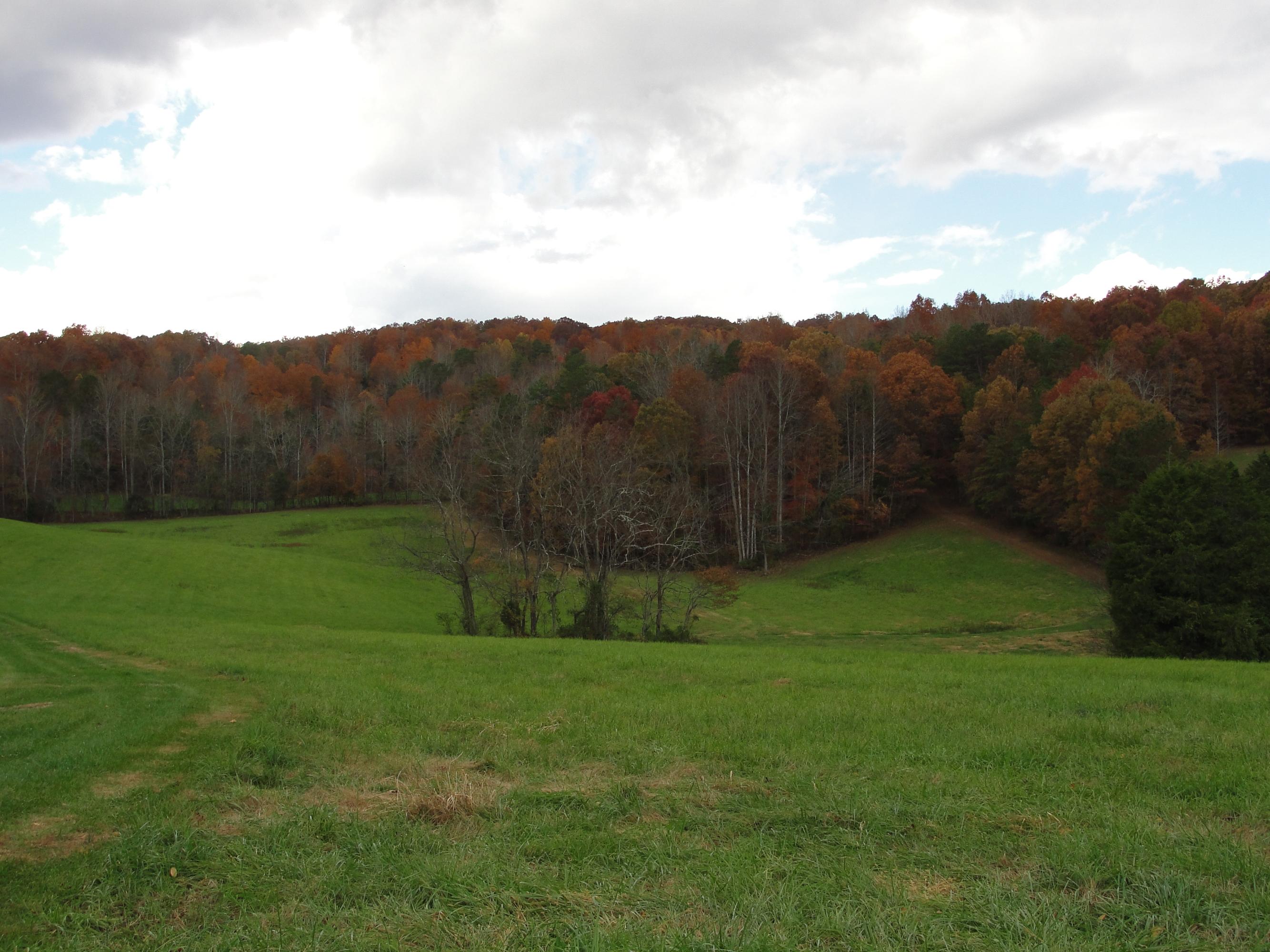 160 Lost Creek Road Sharps Chapel, TN 37866 - Photo 11 of 14 018