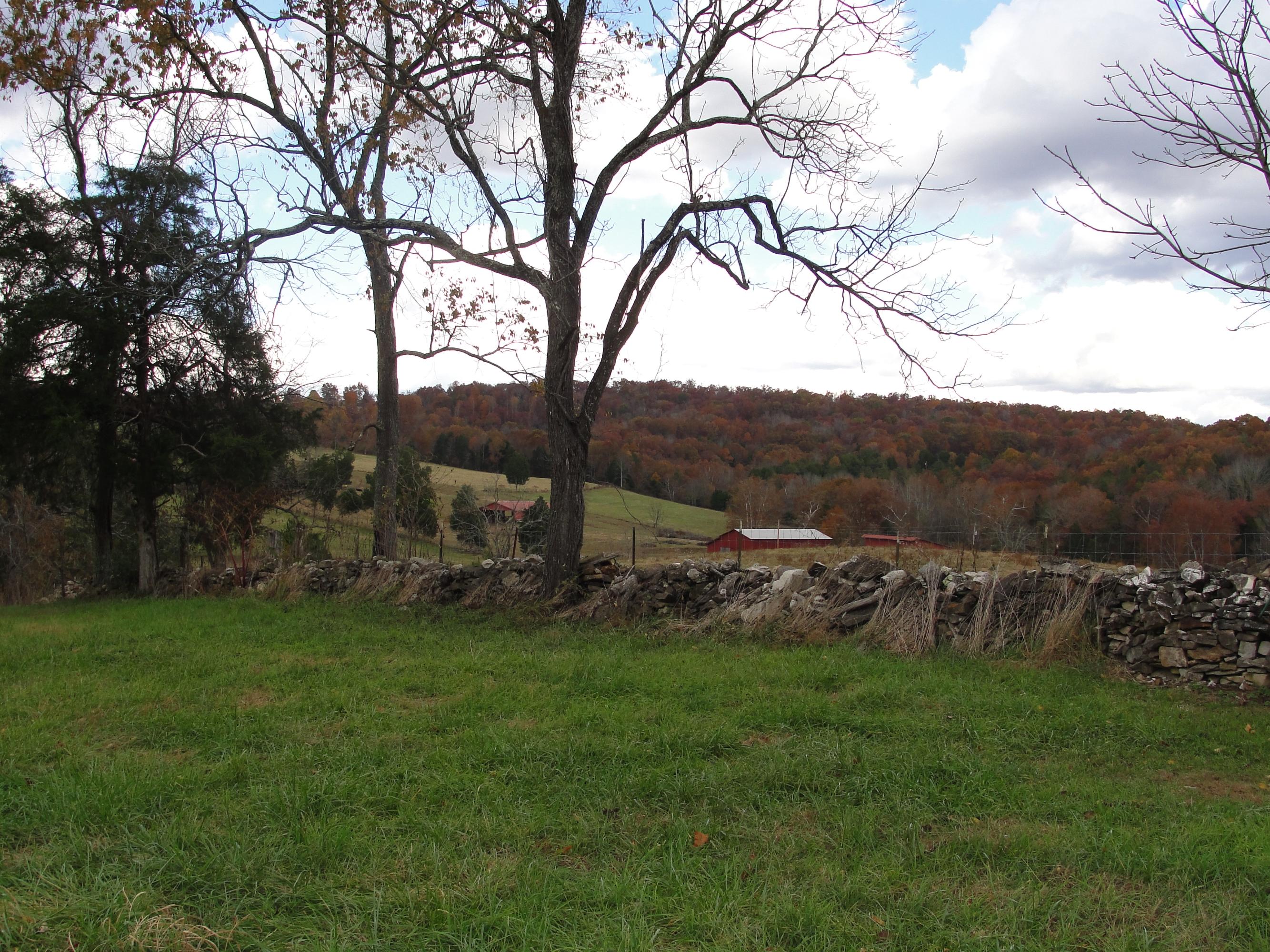160 Lost Creek Road Sharps Chapel, TN 37866 - Photo 12 of 14 019