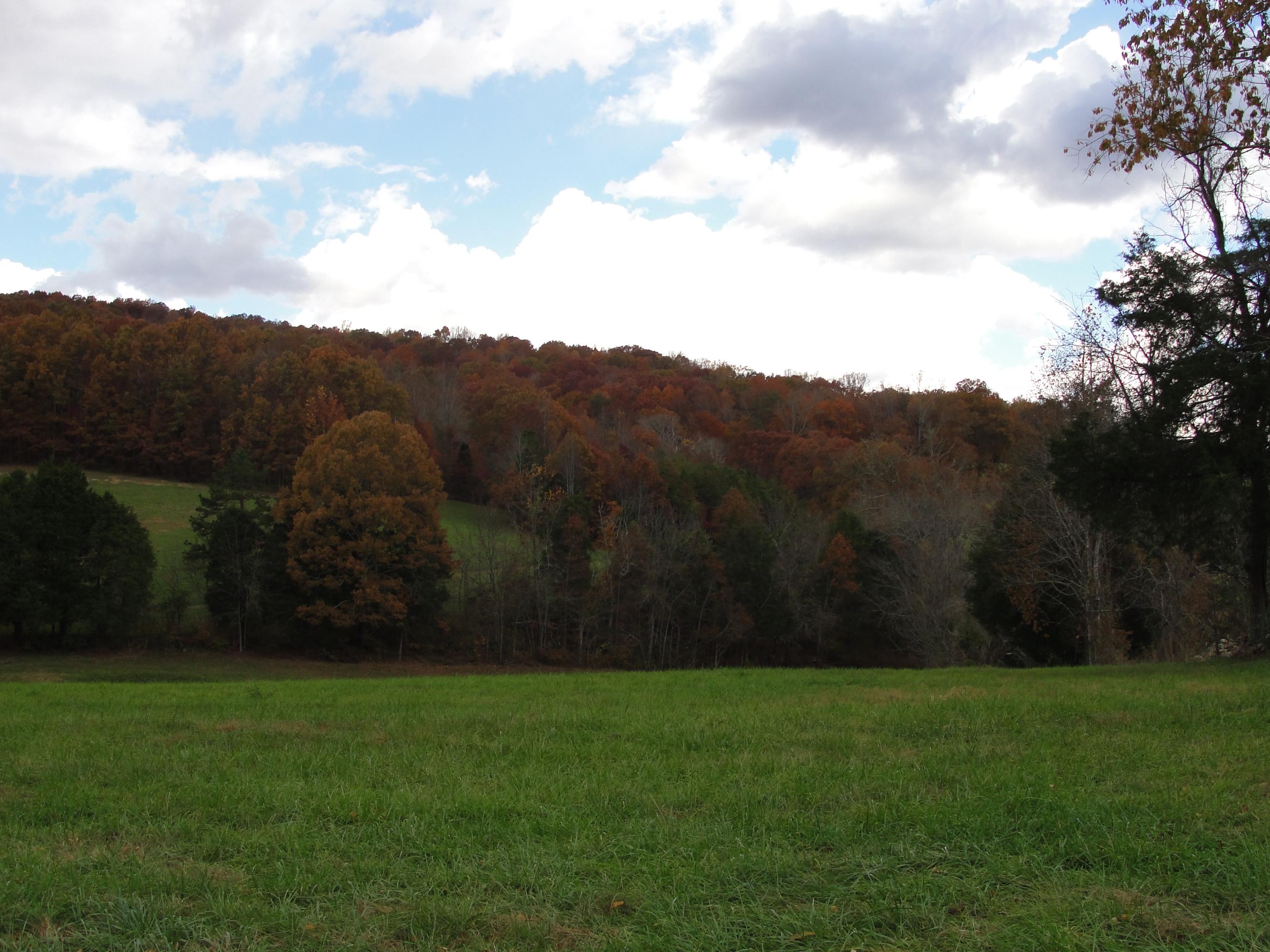 160 Lost Creek Road Sharps Chapel, TN 37866 - Photo 13 of 14 020