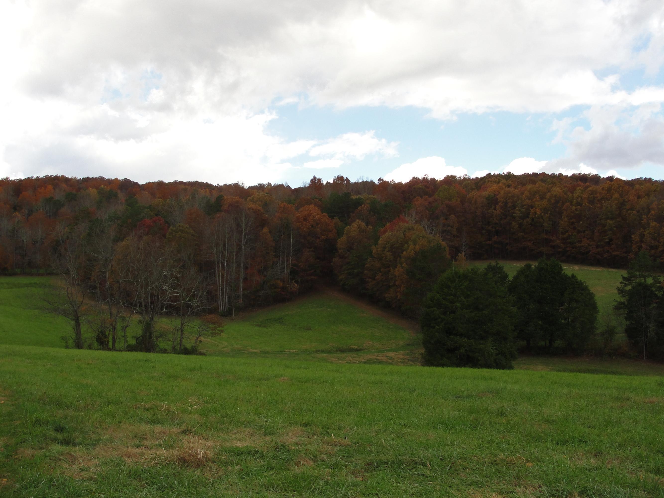 160 Lost Creek Road Sharps Chapel, TN 37866 - Photo 14 of 14 021