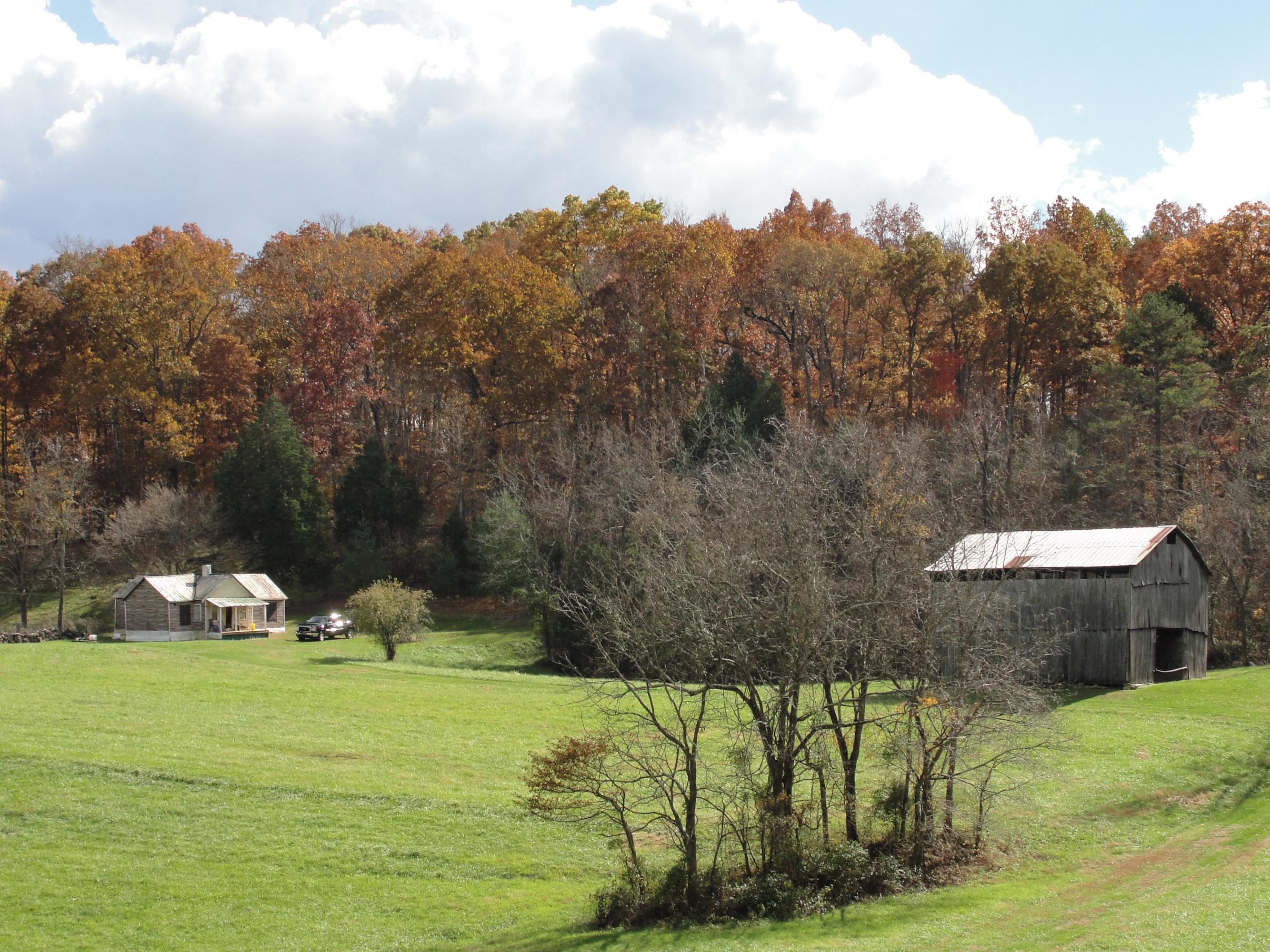 160 Lost Creek Road Sharps Chapel, TN 37866 - Photo 3 of 14 010